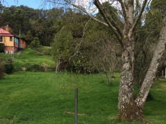 15 Jack Street, Strahan, TAS, 7468