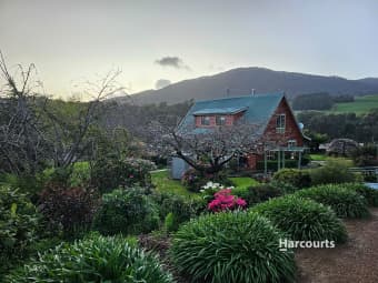 91 Patons Road, Penguin, TAS, 7316