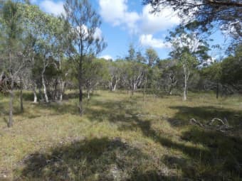 Lot 10 Lindy Dr, Rules Beach, QLD, 4674