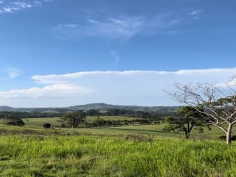 212d Norries Road, Bunyah, NSW, 2429