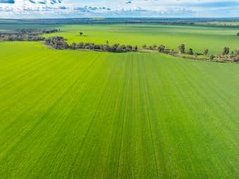 1250 Barracluffs Road, Bidgeemia, NSW, 2642