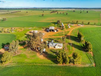 1250 Barracluffs Road, Bidgeemia, NSW, 2642
