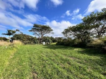 Lot 1 Omalley Street, Ingham, QLD, 4850