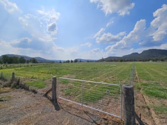 201 Goulburn Drive, Sandy Hollow, NSW, 2333