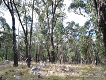 . Youngs Road, Baynton, VIC, 3444