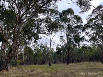 . Youngs Road, Baynton, VIC, 3444