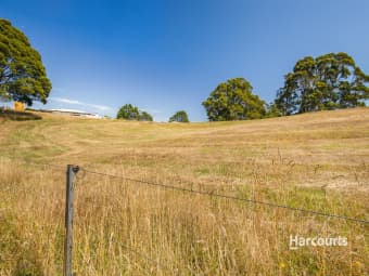  Lottah Road, Natone, TAS, 7321