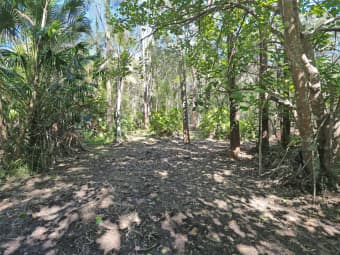 210 Violet Hill Road, Boolambayte, NSW, 2423