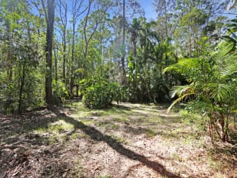 210 Violet Hill Road, Boolambayte, NSW, 2423
