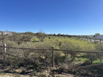 17 Jervoise St, Orroroo, SA, 5431