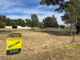 10 Webster Street, Oaklands, NSW, 2646