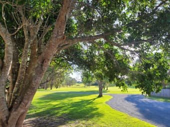 1126 Pottsville Road, Pottsville, NSW, 2489