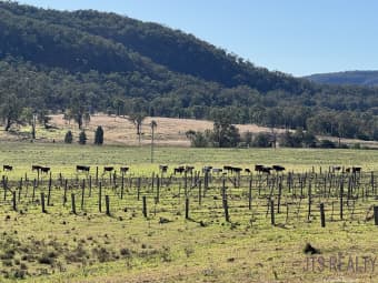 2040 Golden Hwy, Sandy Hollow, NSW, 2333