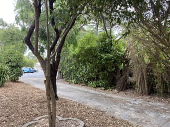 2/13 Nicholas Court, Tea Tree Gully, SA, 5091