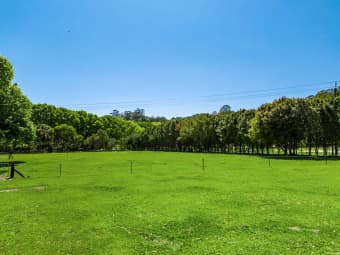 14 Adcocks Road, Stokers Siding, NSW, 2484