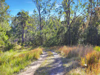 97 Myall River Rd, Bulahdelah, NSW, 2423