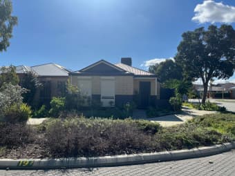 19 Micrantha Way, Banksia Grove, WA, 6031