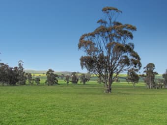 1392 Yongala Vale Road, Sunnybrae, SA, 5422