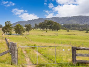 87 Norries Road, Bunyah, NSW, 2429