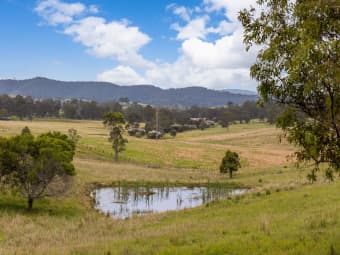 87 Norries Road, Bunyah, NSW, 2429