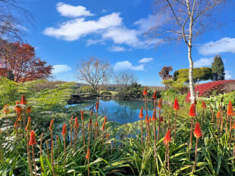188 Fountaindale Road, Robertson, NSW, 2577