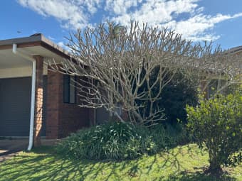 Simpson Avenue, Wollongbar, NSW, 2477