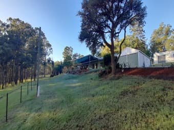 2221 Willi Willi Road, Moparrabah, NSW, 2440