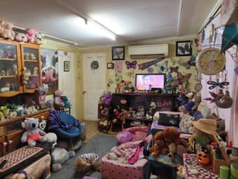 55 Hall St, Willow Tree, NSW, 2339