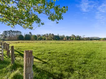 61 Conflict St, Sutton Forest, NSW, 2577