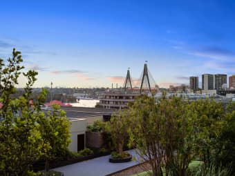 1125/243 Pyrmont St