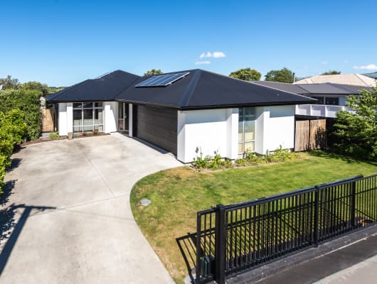 31 Reginald Street, Burwood, Canterbury