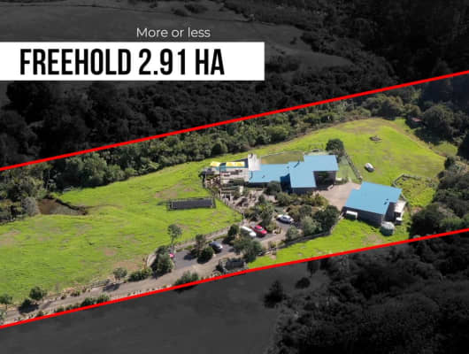 426 Whitford Road, Whitford, Auckland