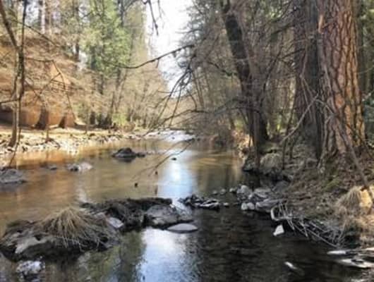 5294 Charles Street, Calaveras County, CA, 95255