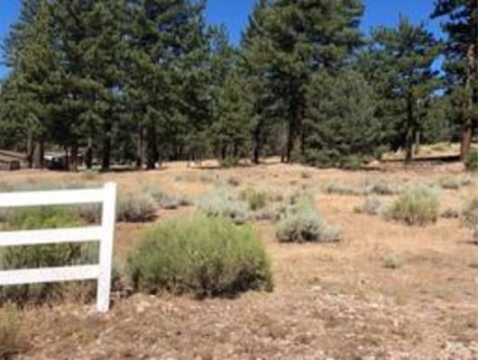 1129 Live Oak Place, Big Bear City, CA, 92314