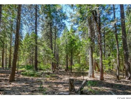 2546 Cheyenne Way, Dorrington, CA, 95223
