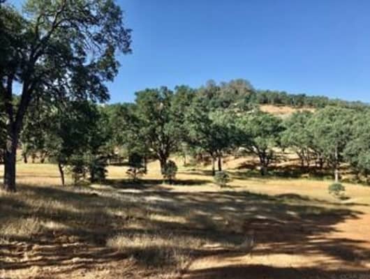 4252 Paolini Rd, Rancho Calaveras, CA, 95252