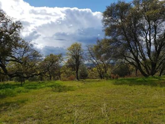 Crestview Dr, Calaveras County, CA, 95252
