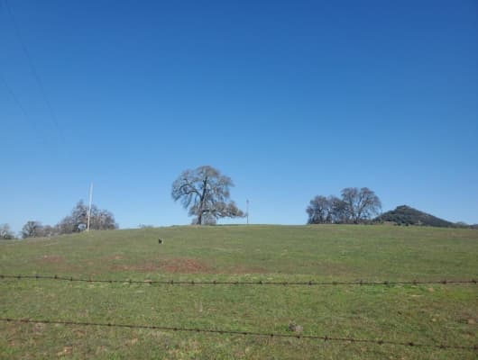 18690 Greilich Road, Amador County, CA, 95669