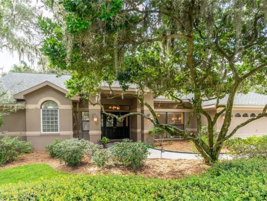 1908 Cimmaron Run Drive, Valrico, FL, 33594
