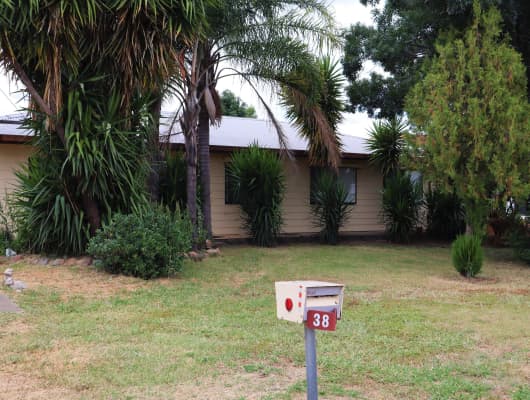 38 Merindah Avenue, Manilla, NSW, 2346