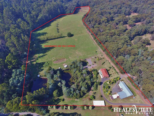 135 Beenak Road, Hoddles Creek, VIC, 3139