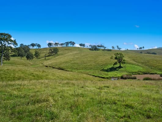 1620 Bingleburra Road, East Gresford, NSW, 2311