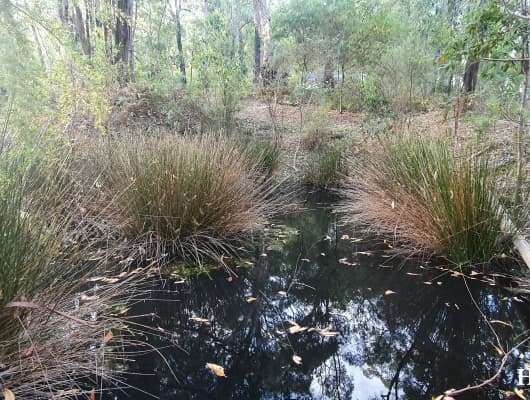 389 Myers Creek Road, Healesville, VIC, 3777