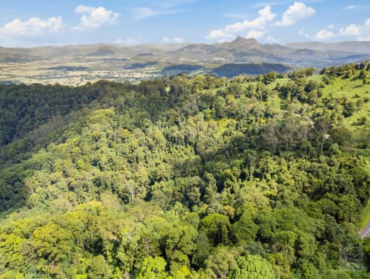 978 Tomewin Rd, Tomewin, NSW, 2484