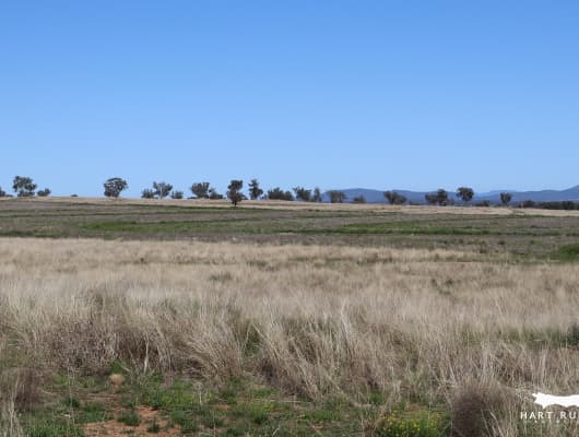 1926 Rushes Creek Road, Manilla, NSW, 2346
