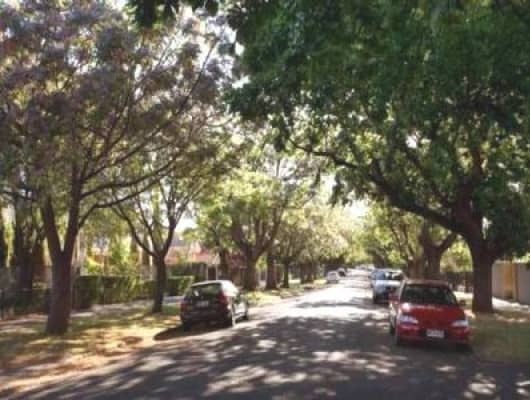 2/93 Alexandra Avenue, Toorak Gardens, SA, 5065
