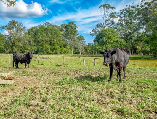 216 Ninderry Road, Ninderry, QLD, 4561