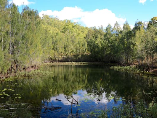 49 Clinton Rd, Cawarral, QLD, 4702