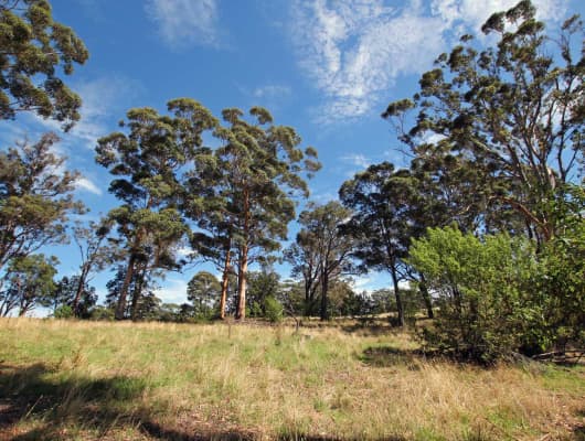 19 Wishart Pl, Denmark, WA, 6333