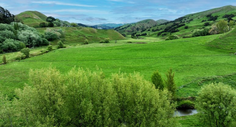 3890 Matawai Road, Otoko, Gisborne
